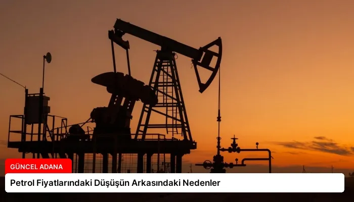 Petrol Fiyatlarındaki Düşüşün Arkasındaki Nedenler