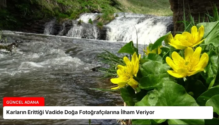 Karların Erittiği Vadide Doğa Fotoğrafçılarına İlham Veriyor