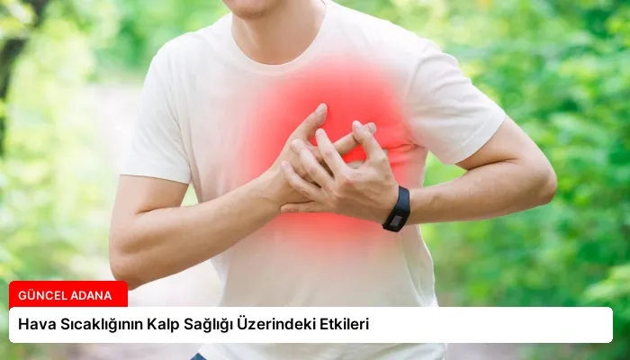 Hava Sıcaklığının Kalp Sağlığı Üzerindeki Etkileri