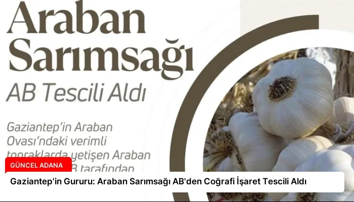 Gaziantep’in Gururu: Araban Sarımsağı AB’den Coğrafi İşaret Tescili Aldı