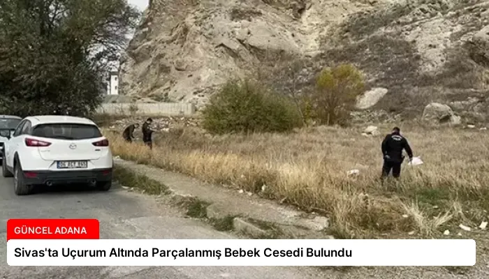 Sivas’ta Uçurum Altında Parçalanmış Bebek Cesedi Bulundu