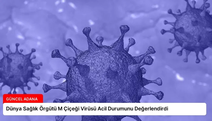 Dünya Sağlık Örgütü M Çiçeği Virüsü Acil Durumunu Değerlendirdi