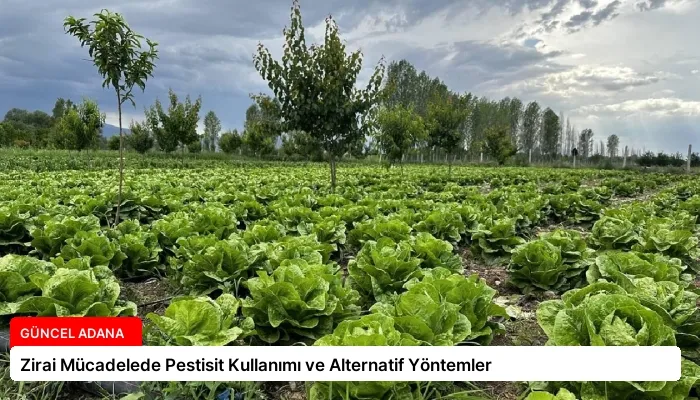 Zirai Mücadelede Pestisit Kullanımı ve Alternatif Yöntemler