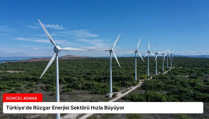 Türkiye’de Rüzgar Enerjisi Sektörü Hızla Büyüyor