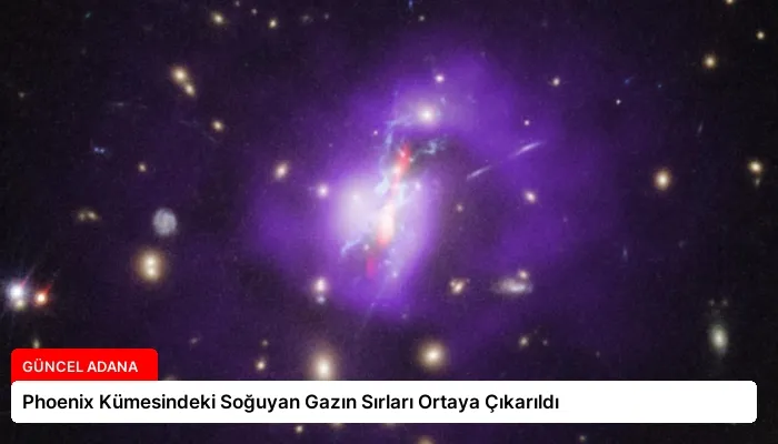 Phoenix Kümesindeki Soğuyan Gazın Sırları Ortaya Çıkarıldı
