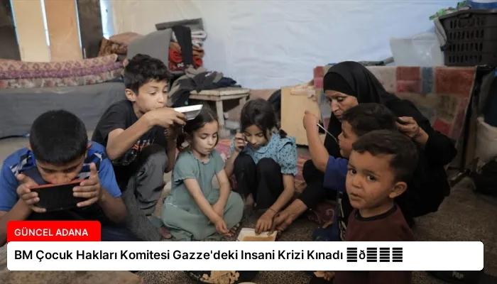 BM Çocuk Hakları Komitesi Gazze’deki Insani Krizi Kınadı ⏬👇