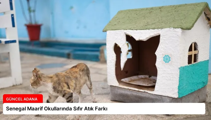 Senegal Maarif Okullarında Sıfır Atık Farkı