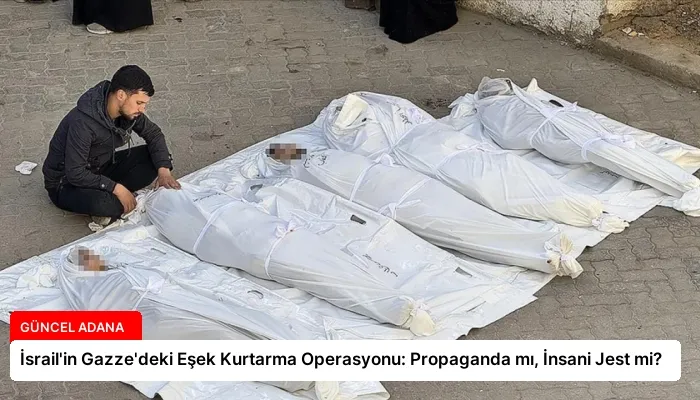 İsrail’in Gazze’deki Eşek Kurtarma Operasyonu: Propaganda mı, İnsani Jest mi?