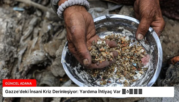 Gazze’deki İnsani Kriz Derinleşiyor: Yardıma İhtiyaç Var ⏬👇
