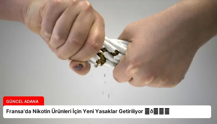 Fransa’da Nikotin Ürünleri İçin Yeni Yasaklar Getiriliyor ⏬👇
