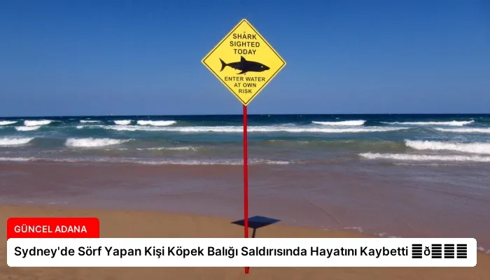 Sydney’de Sörf Yapan Kişi Köpek Balığı Saldırısında Hayatını Kaybetti ⏬👇