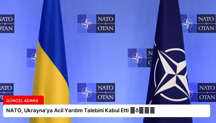 NATO, Ukrayna’ya Acil Yardım Talebini Kabul Etti ⏬👇