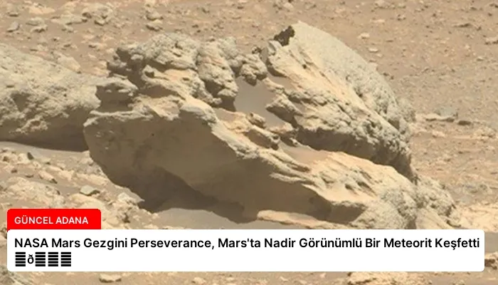 NASA Mars Gezgini Perseverance, Mars’ta Nadir Görünümlü Bir Meteorit Keşfetti ⏬👇