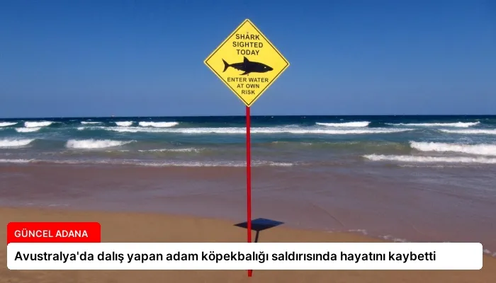 Avustralya’da dalış yapan adam köpekbalığı saldırısında hayatını kaybetti