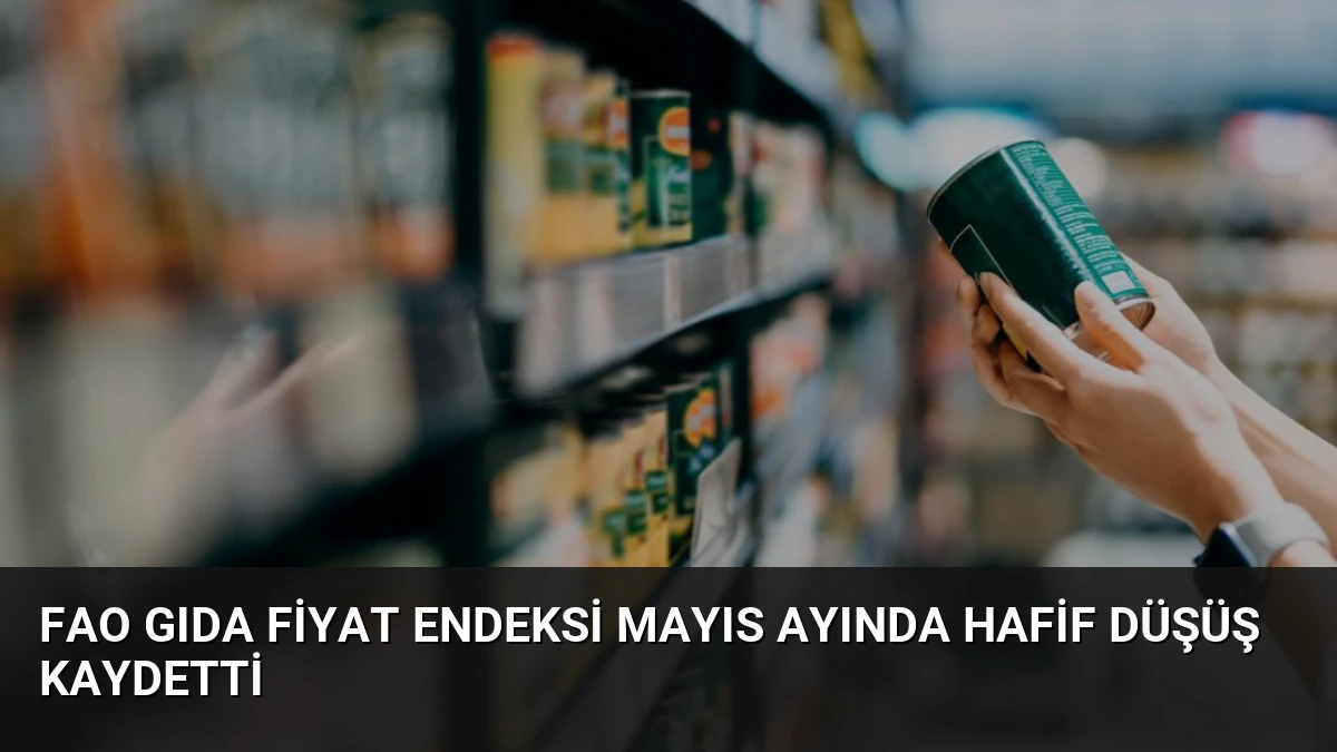 FAO Gıda Fiyat Endeksi Mayıs Ayında Hafif Düşüş Kaydetti