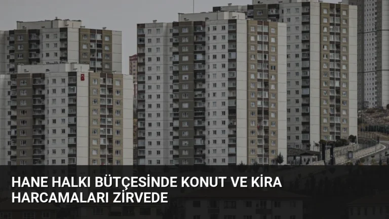 Hane Halkı Bütçesinde Konut ve Kira Harcamaları Zirvede