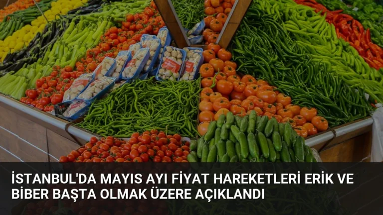 İstanbul’da Mayıs Ayı Fiyat Hareketleri Erik ve Biber Başta Olmak Üzere Açıklandı