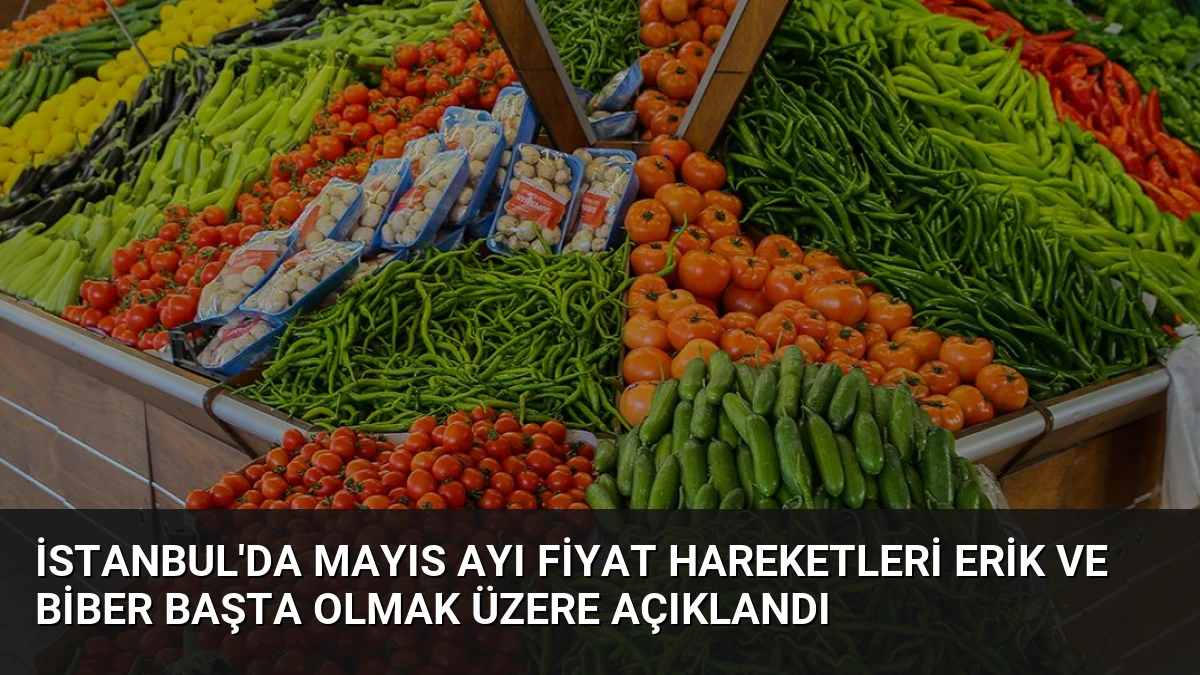 İstanbul’da Mayıs Ayı Fiyat Hareketleri Erik ve Biber Başta Olmak Üzere Açıklandı