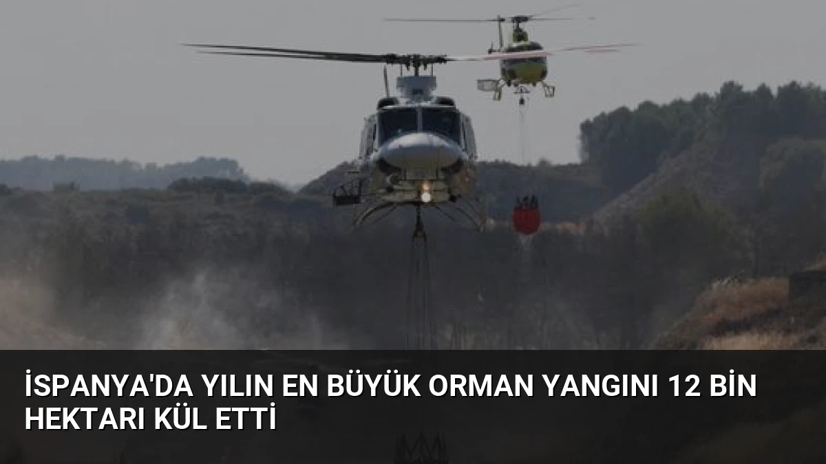 İspanya’da Yılın En Büyük Orman Yangını 12 Bin Hektarı Kül Etti