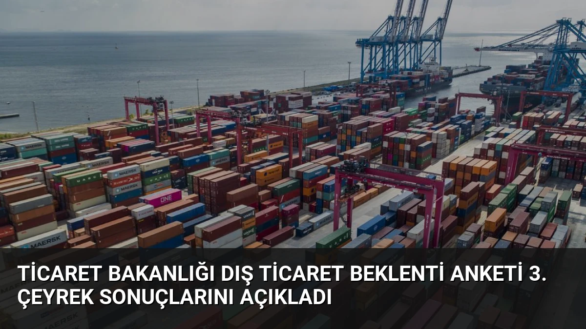 Ticaret Bakanlığı Dış Ticaret Beklenti Anketi 3. Çeyrek Sonuçlarını Açıkladı