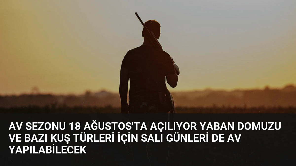Av Sezonu 18 Ağustos’ta Açılıyor Yaban Domuzu ve Bazı Kuş Türleri İçin Salı Günleri de Av Yapılabilecek