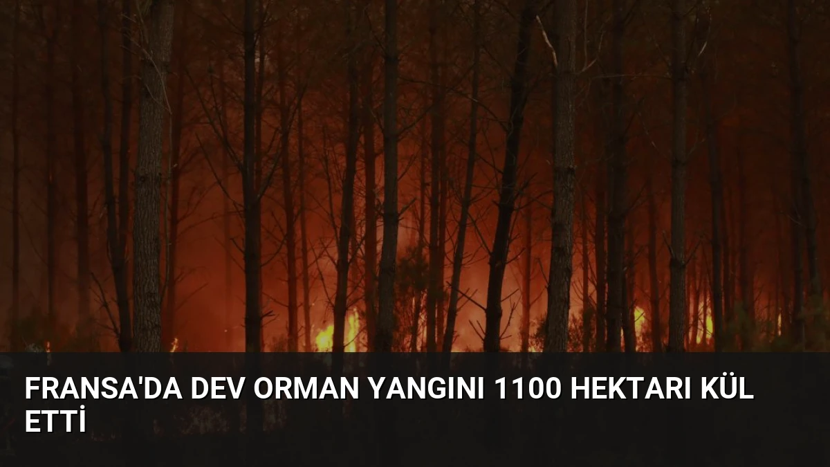 Fransa’da Dev Orman Yangını 1100 Hektarı Kül Etti