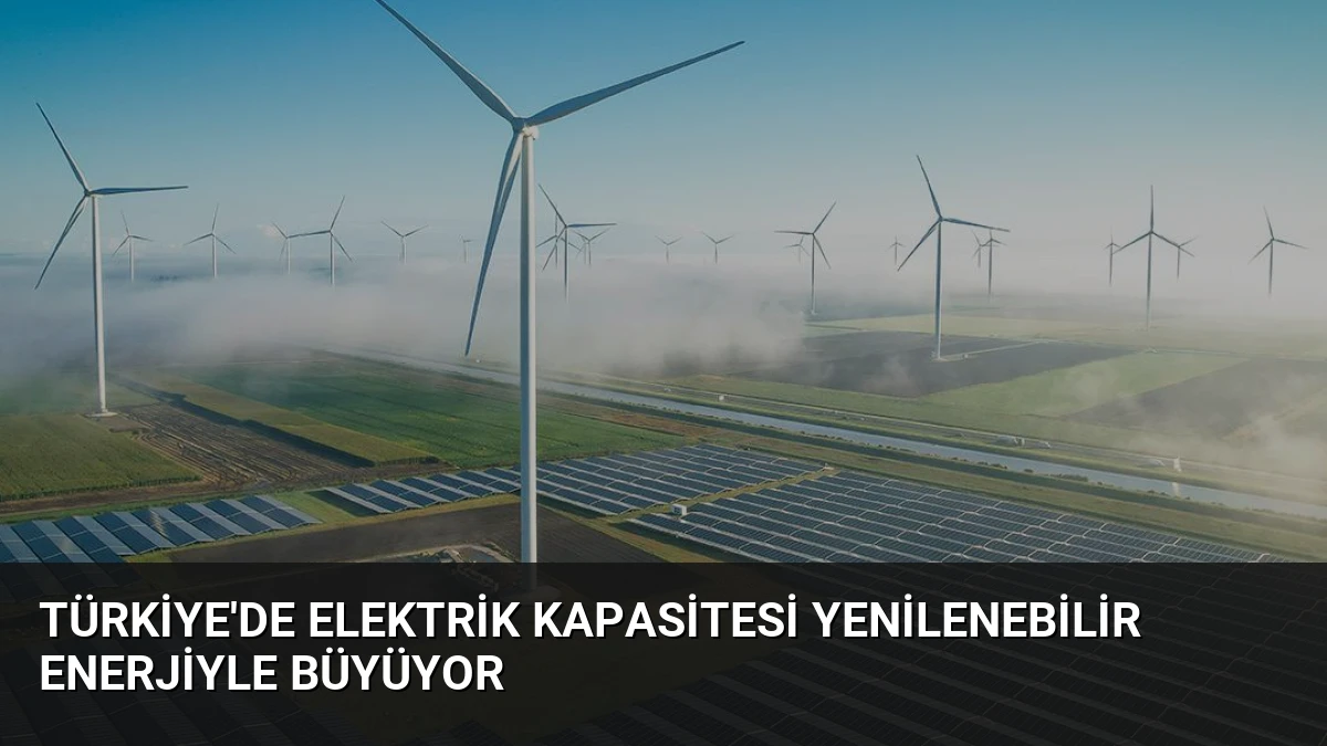 Türkiye’de Elektrik Kapasitesi Yenilenebilir Enerjiyle Büyüyor