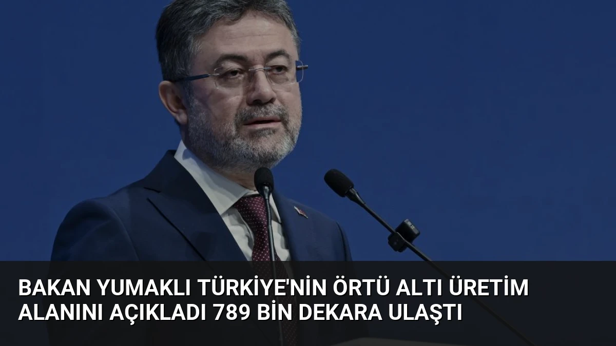 Bakan Yumaklı Türkiye’nin Örtü Altı Üretim Alanını Açıkladı 789 Bin Dekara Ulaştı