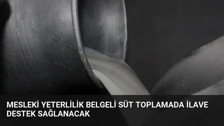 Mesleki Yeterlilik Belgeli Süt Toplamada İlave Destek Sağlanacak