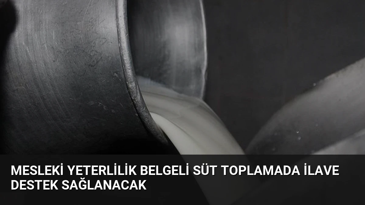 Mesleki Yeterlilik Belgeli Süt Toplamada İlave Destek Sağlanacak